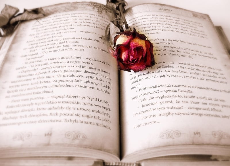 Reading a Book